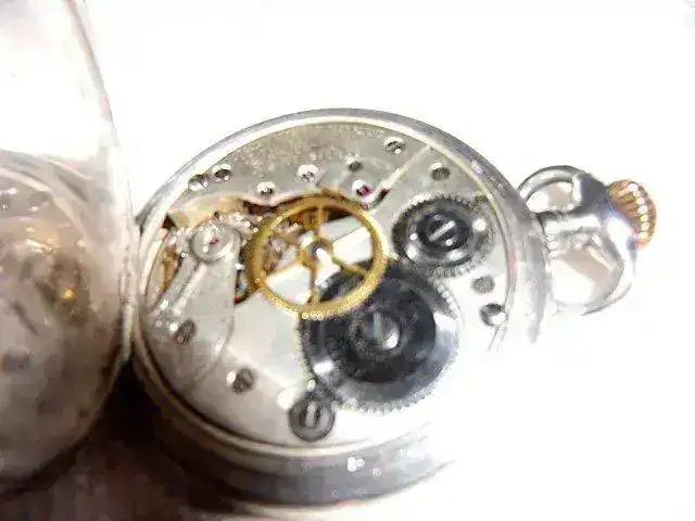 CIMG0303.webp