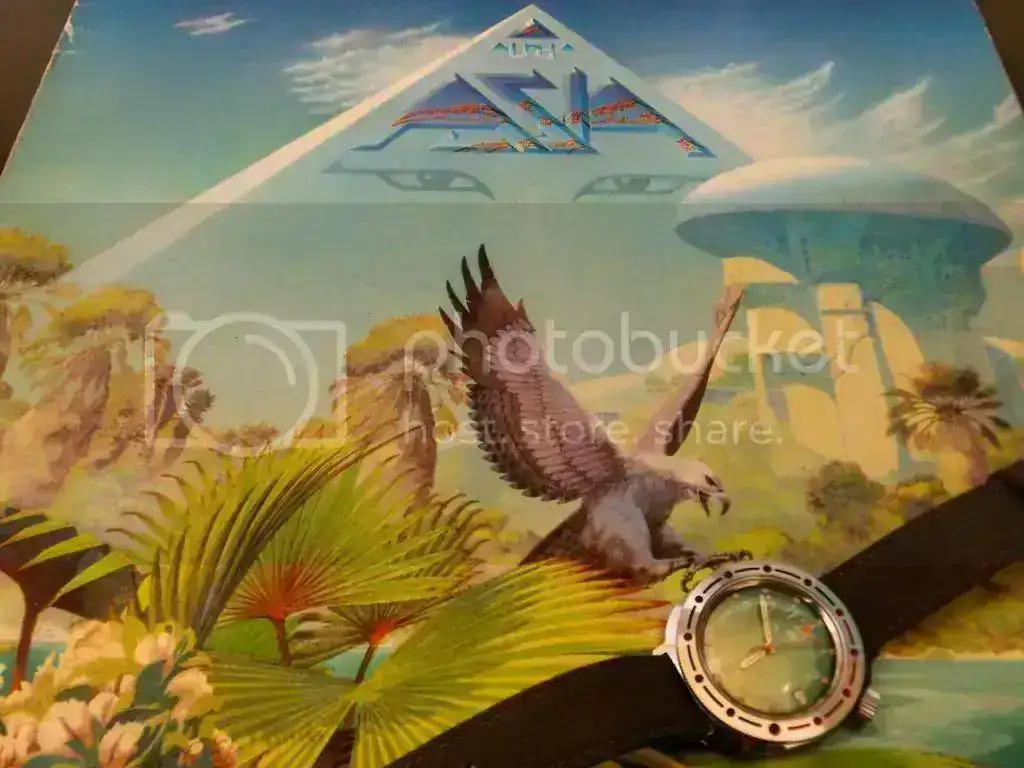 CIMG1447_zps1cdeb0da.webp