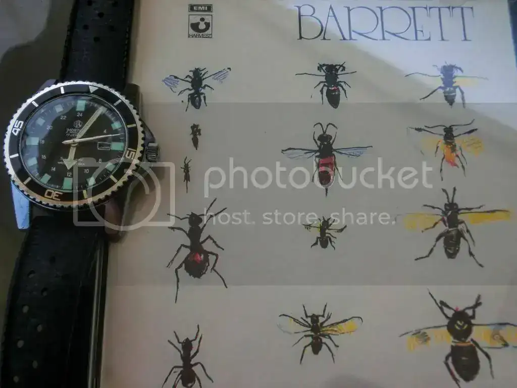 CIMG1456_zpsc707398a.webp