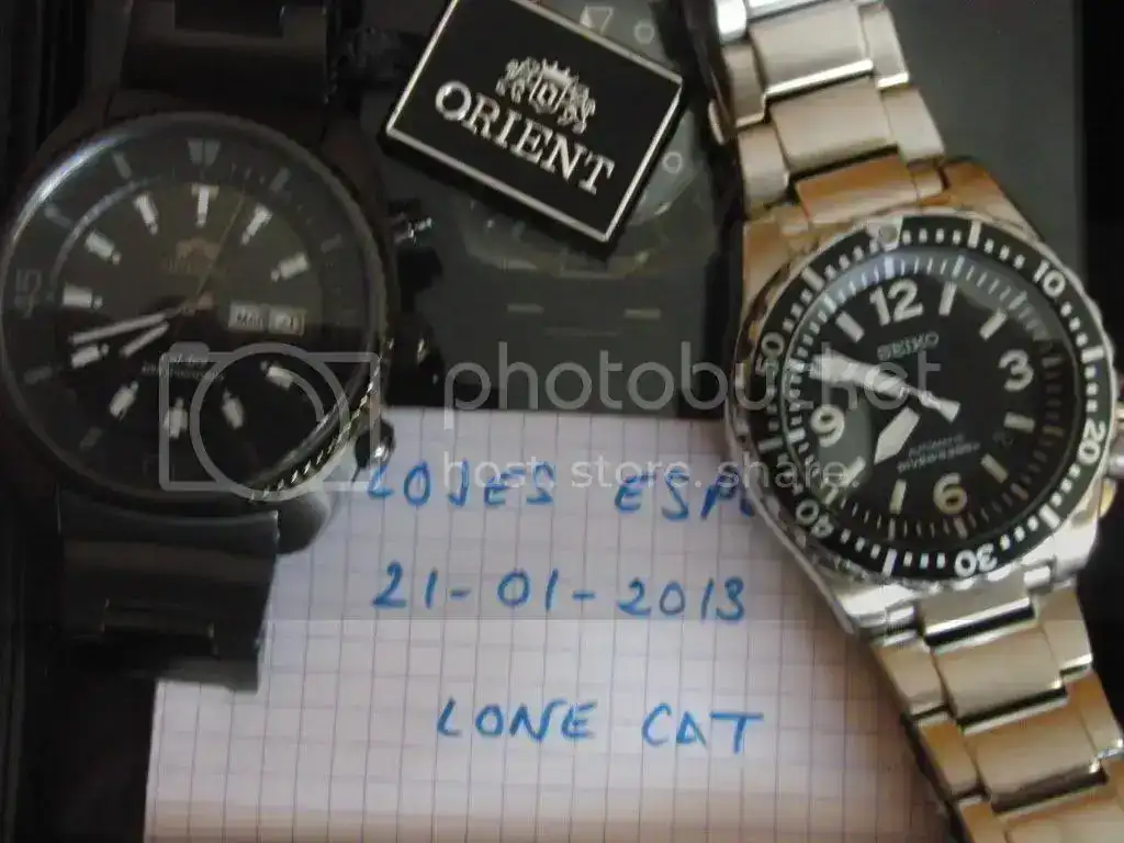 CIMG1979.webp