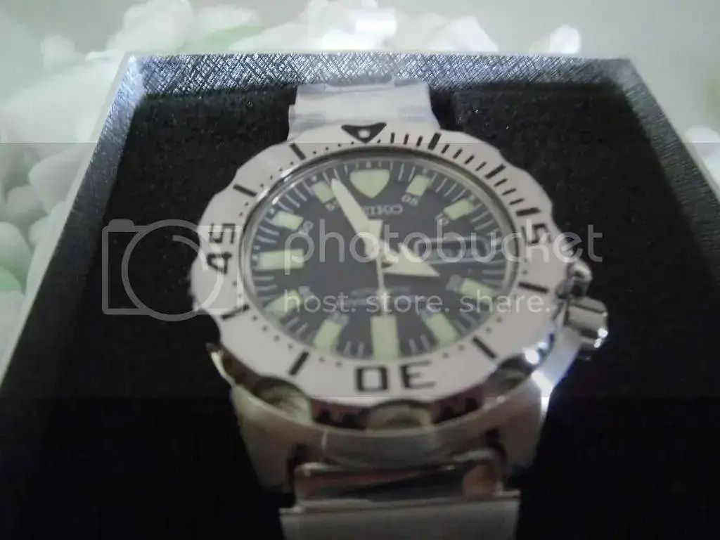 CIMG2070_zpsf1ryfiiz.webp
