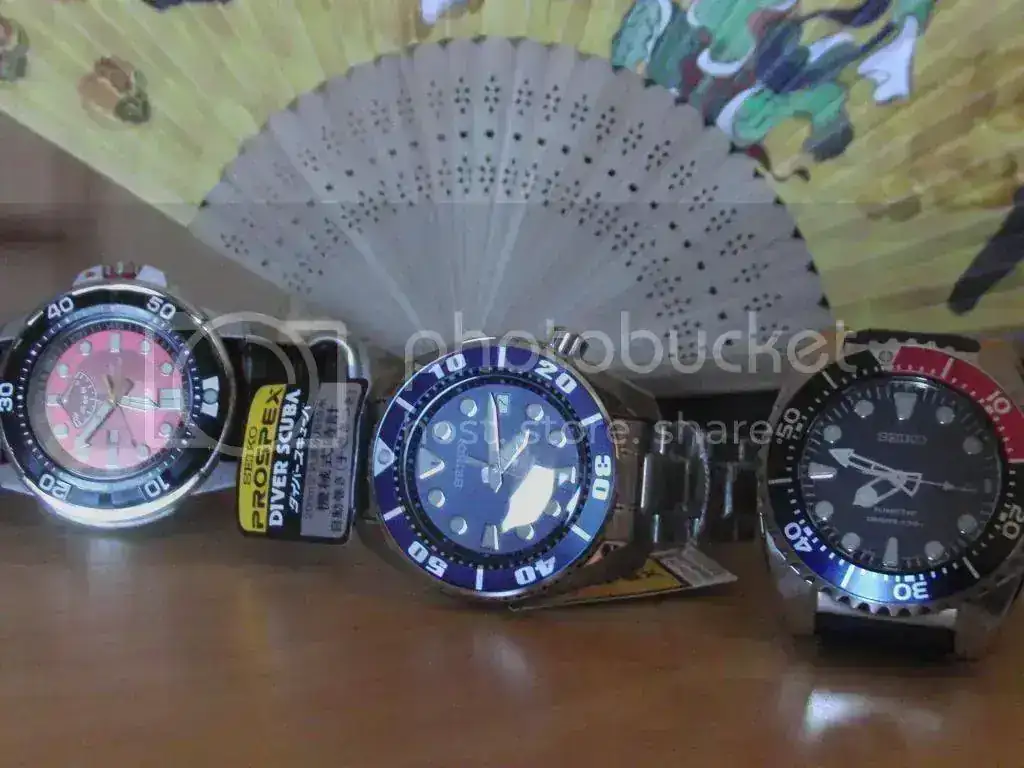 CIMG2337_zps23a7d86d.webp