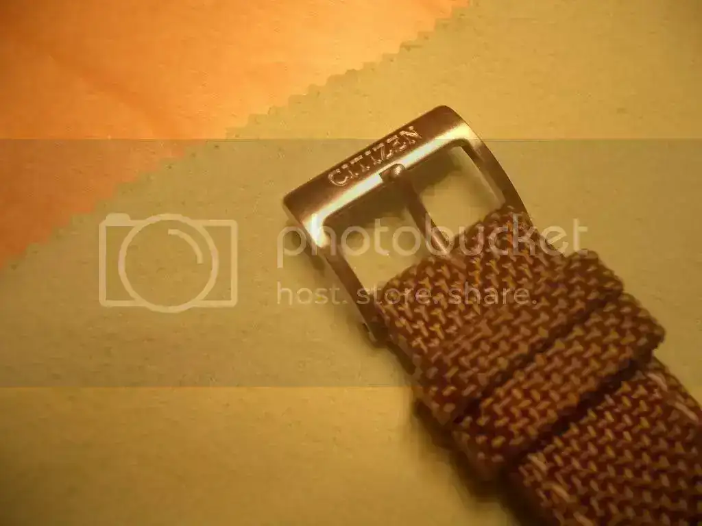 CIMG3129.webp