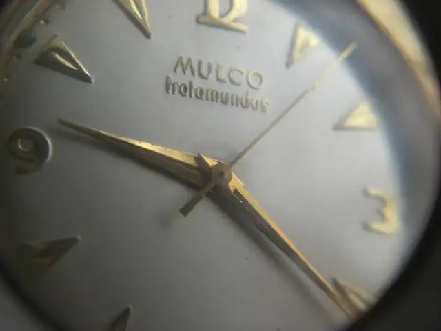 CIMG3373.webp