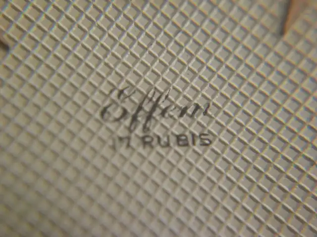 CIMG3380.webp