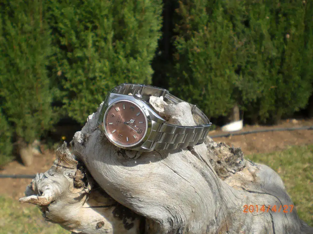 CIMG5712.webp