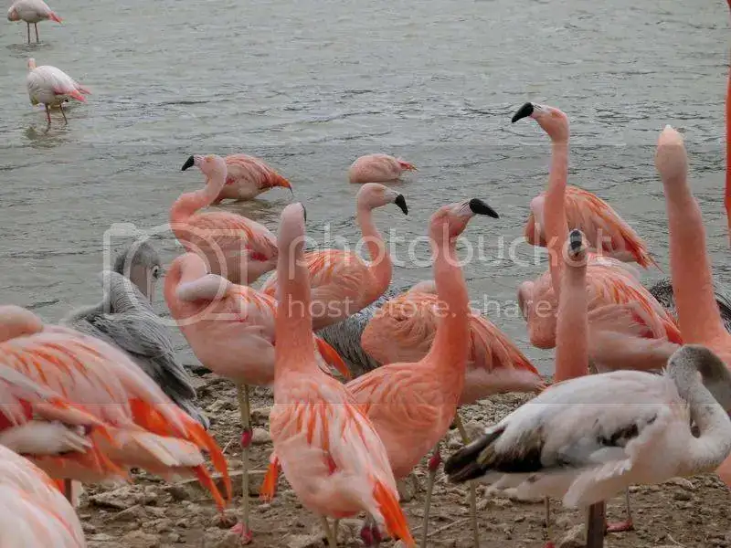 CIMG8893.webp
