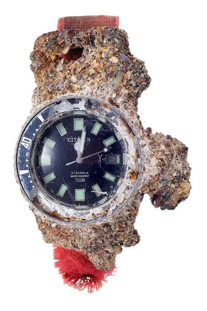 citizen-1977-challenge-diver-barnacles-Long-Reef-Beach-australia.jpg