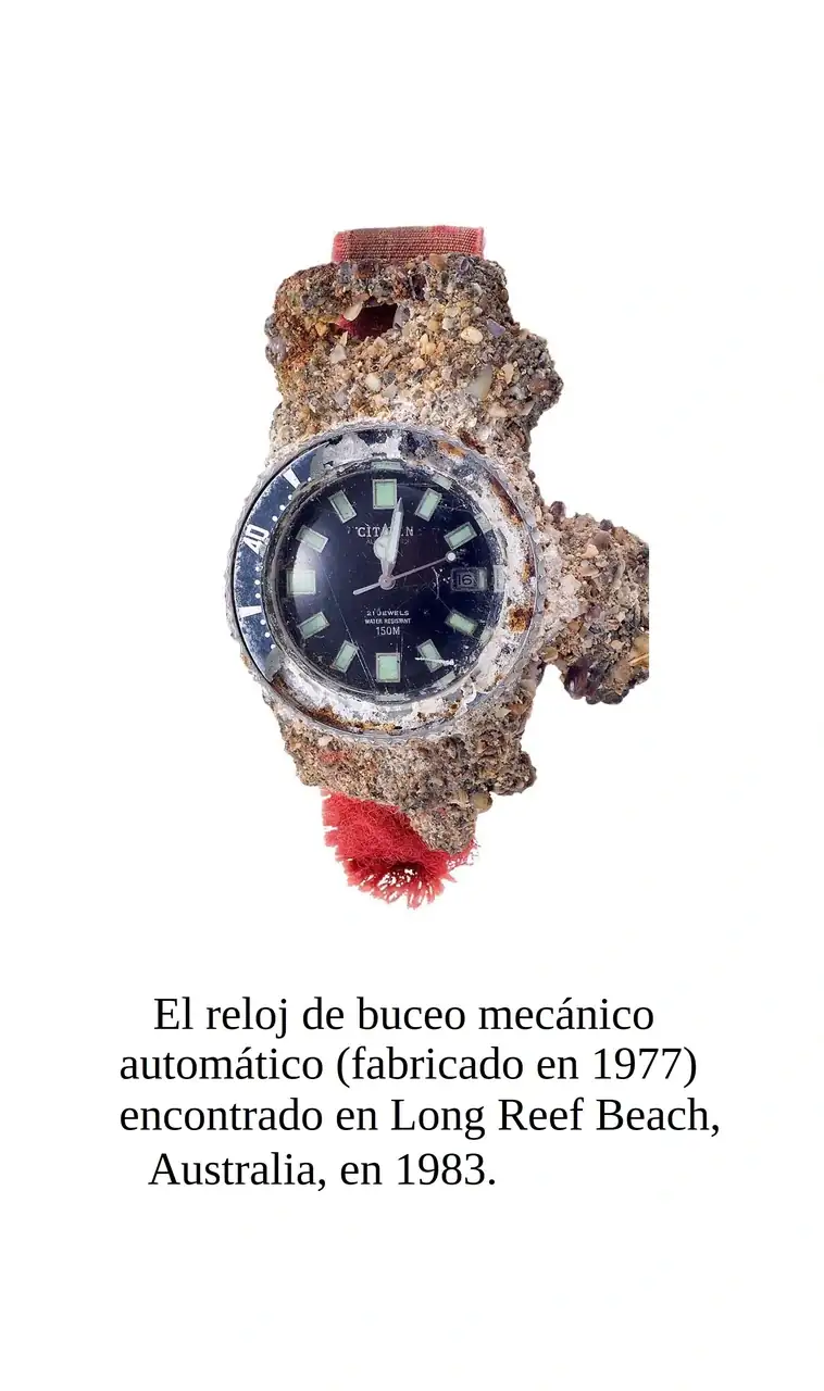 citizen-1977-challenge-diver-barnacles-Long-Reef-Beach-australia.webp