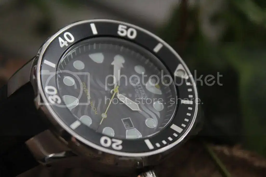 Citizen%20Bn0070-9E%2037_zps3rvzihwc.webp