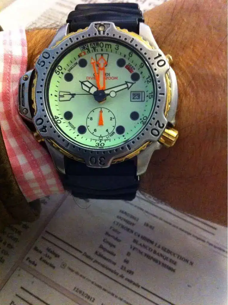 Citizen aqualand.webp