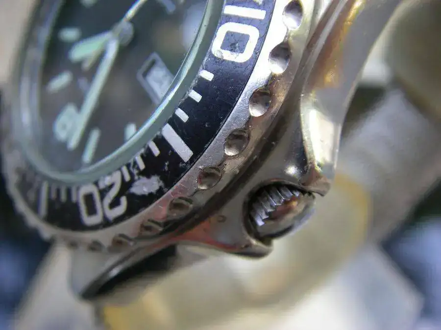 citizen b.webp