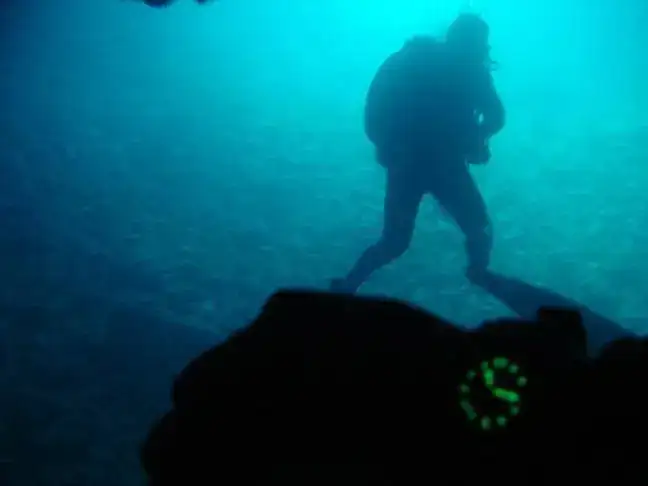 Citizen Diving 1.jpg