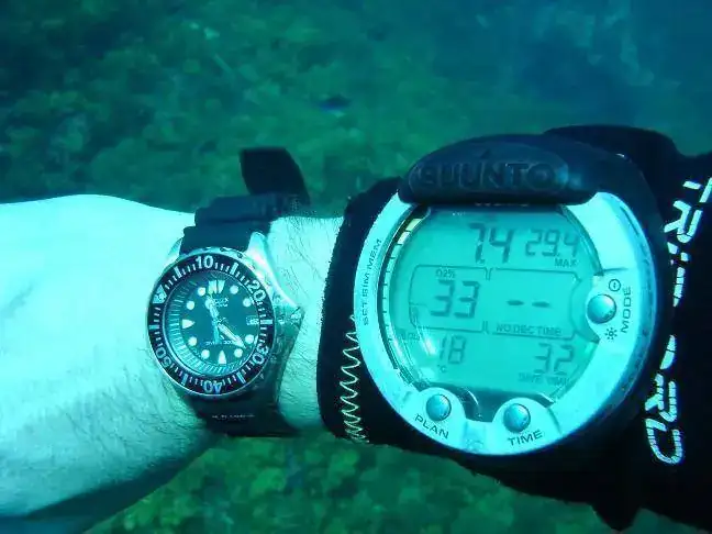 Citizen Diving 2.jpg