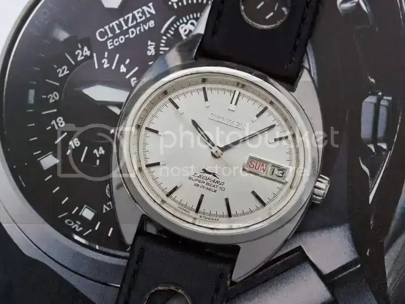 Citizen-Leopard-Super-Beat-10.webp