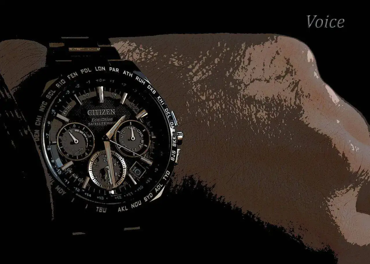 Citizen Satellite Wave GPS.jpg