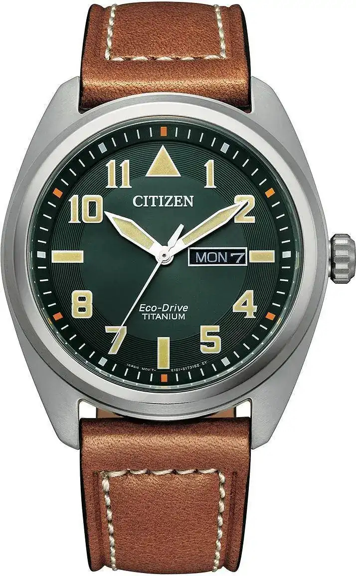 citizen tit.webp
