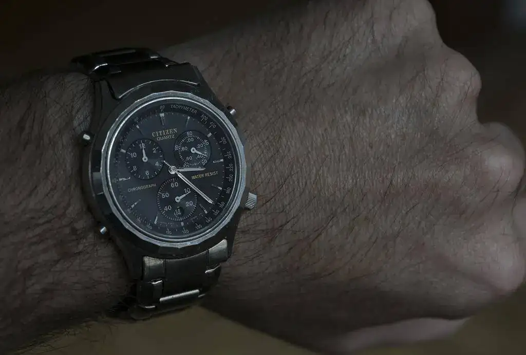 Citizen Vintage 2.webp