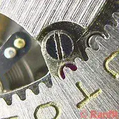 Citizen_4130-5.webp