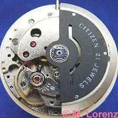 Citizen_5470.webp