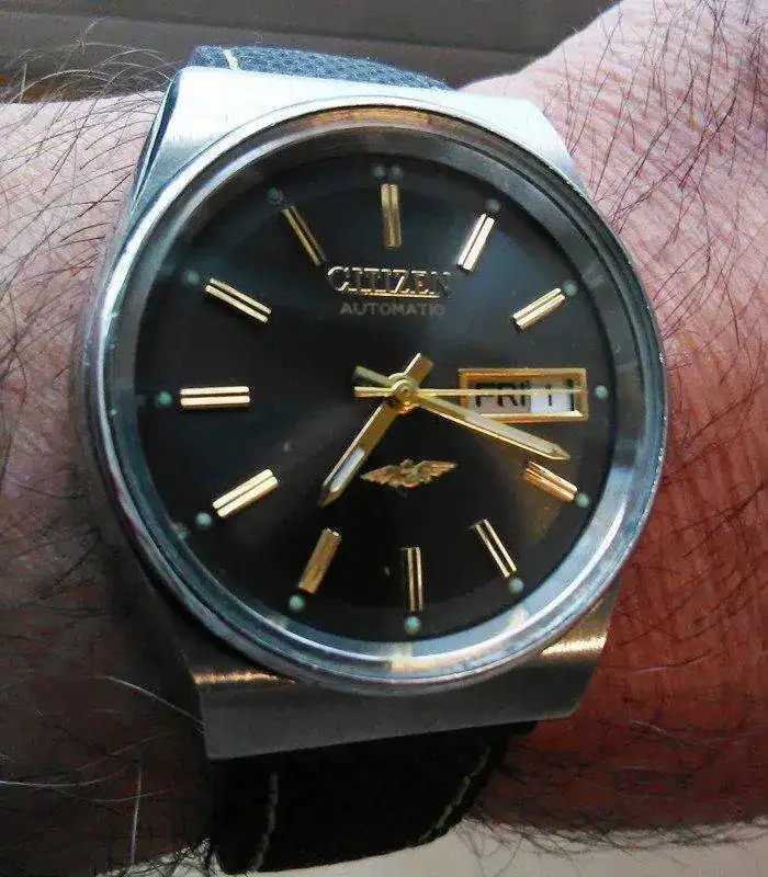 Citizen_Aut.webp