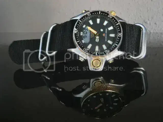 CitizenAqualandIBCIMG0870.webp