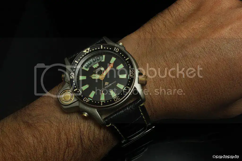 citizenaqualandwrisrednic.webp