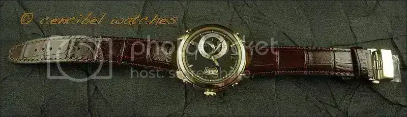 CitizenNP3013-01Efoto4.webp