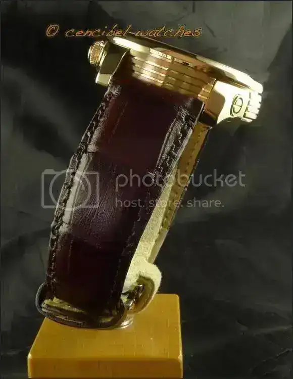 CitizenNP3013-01Efoto5.webp