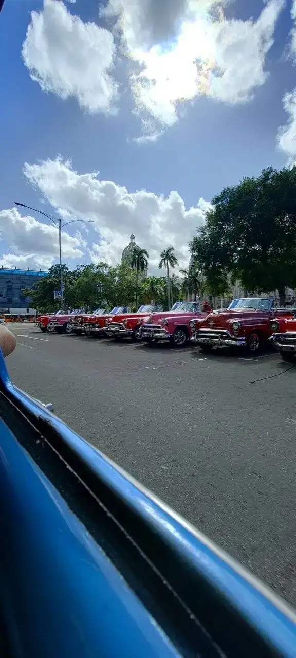 clásicos en fila.webp