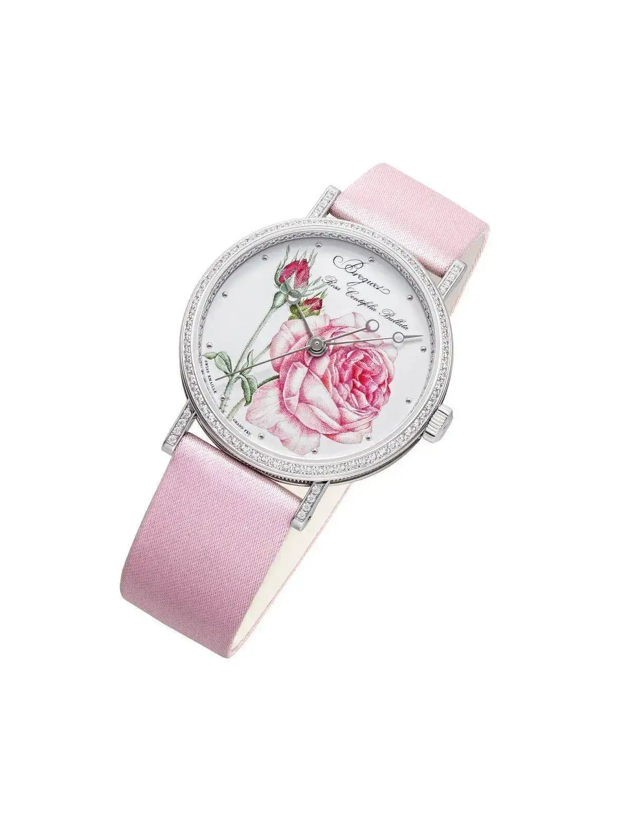Classique%2BRose%2Bde%2Bla%2BReine%2B9075_PR.webp
