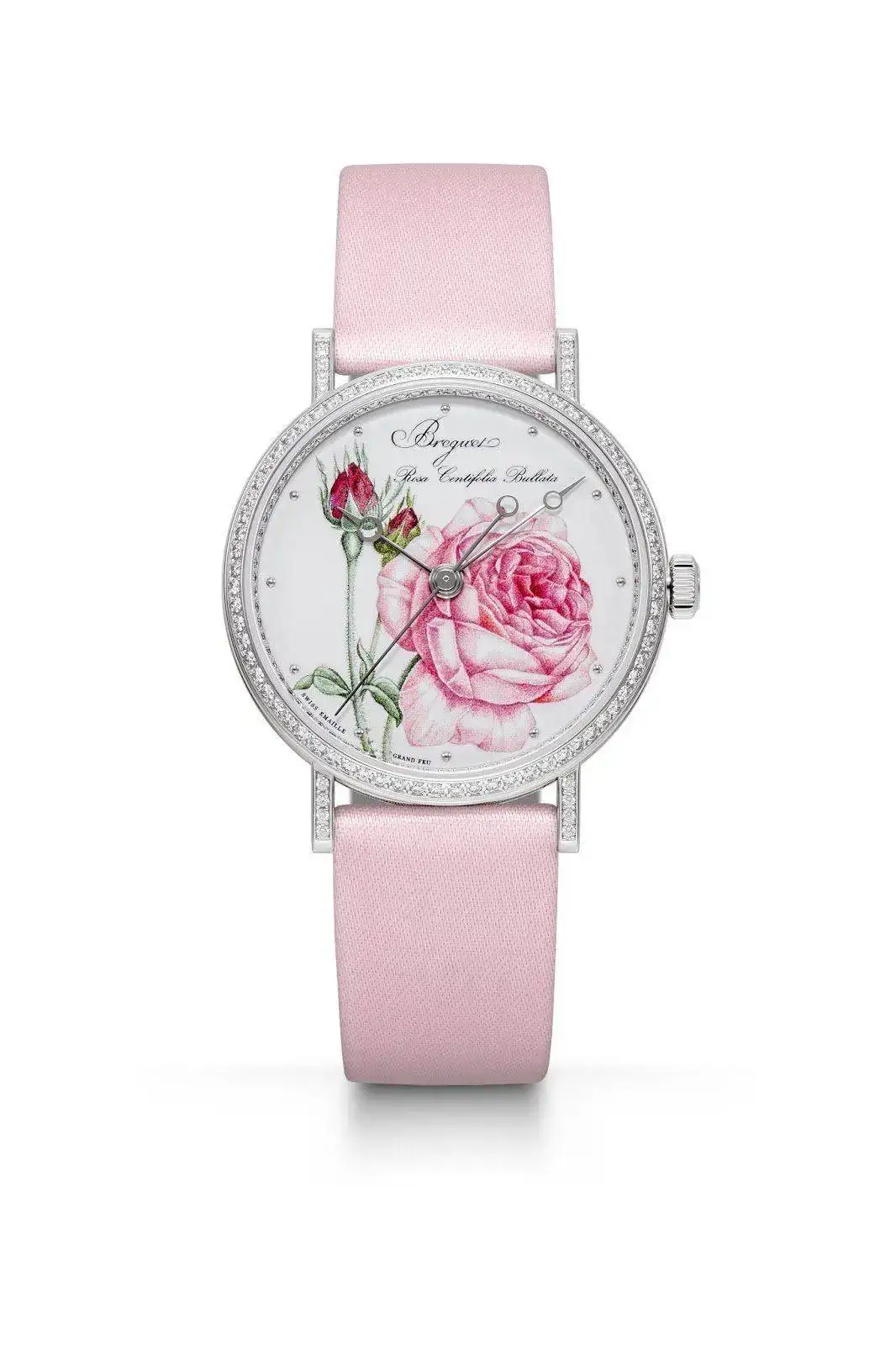 Classique%2BRose%2Bde%2Bla%2BReine%2B9075_Soldat.webp