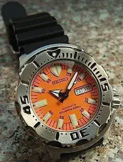closeup_on_strap.webp