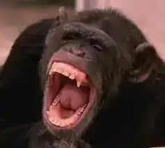 cMBIQ6UsDaSmNs_faJfGGkk6UhoFC2CpqYxJG7A7DQLf1XhDHA.webp