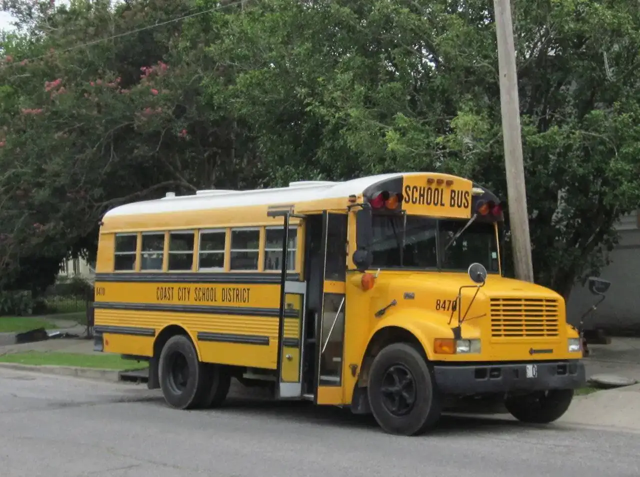 Coastal_City_School_Bus_crop.webp
