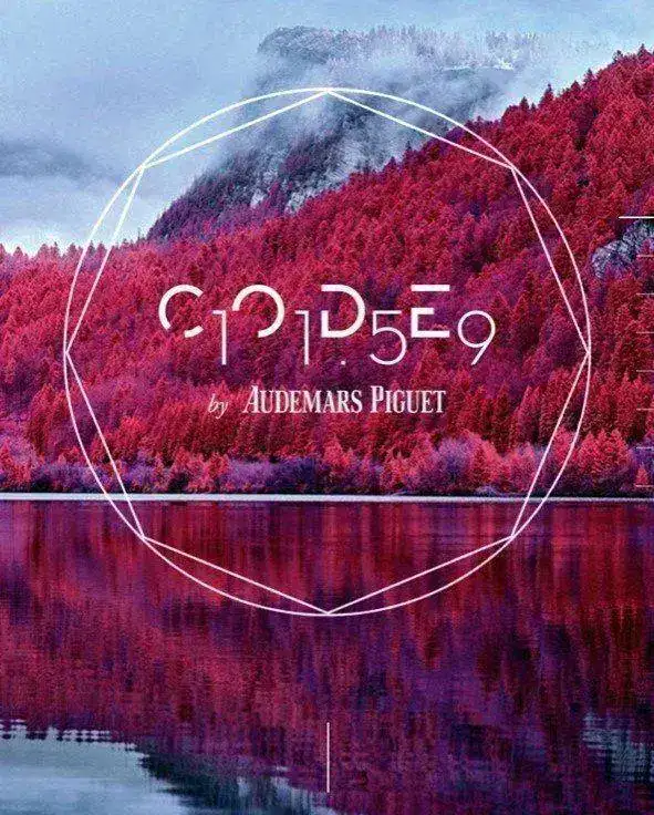 Code.webp