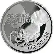 coin-NZ-squid.webp