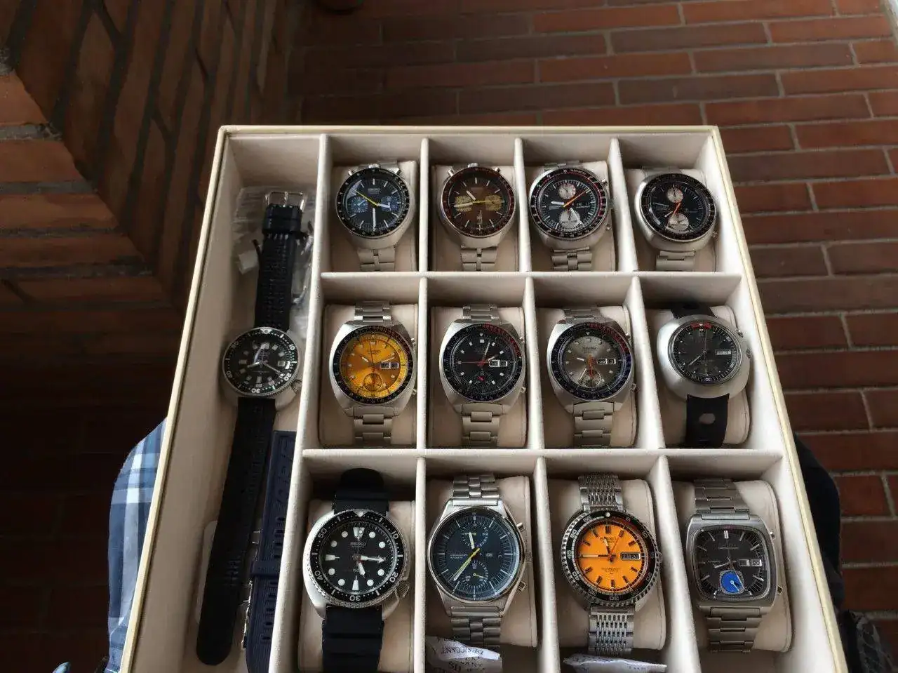 coleccion.webp
