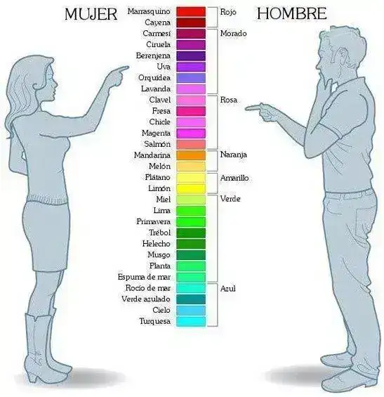 Colores.webp