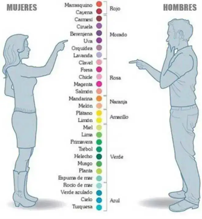 colores.webp
