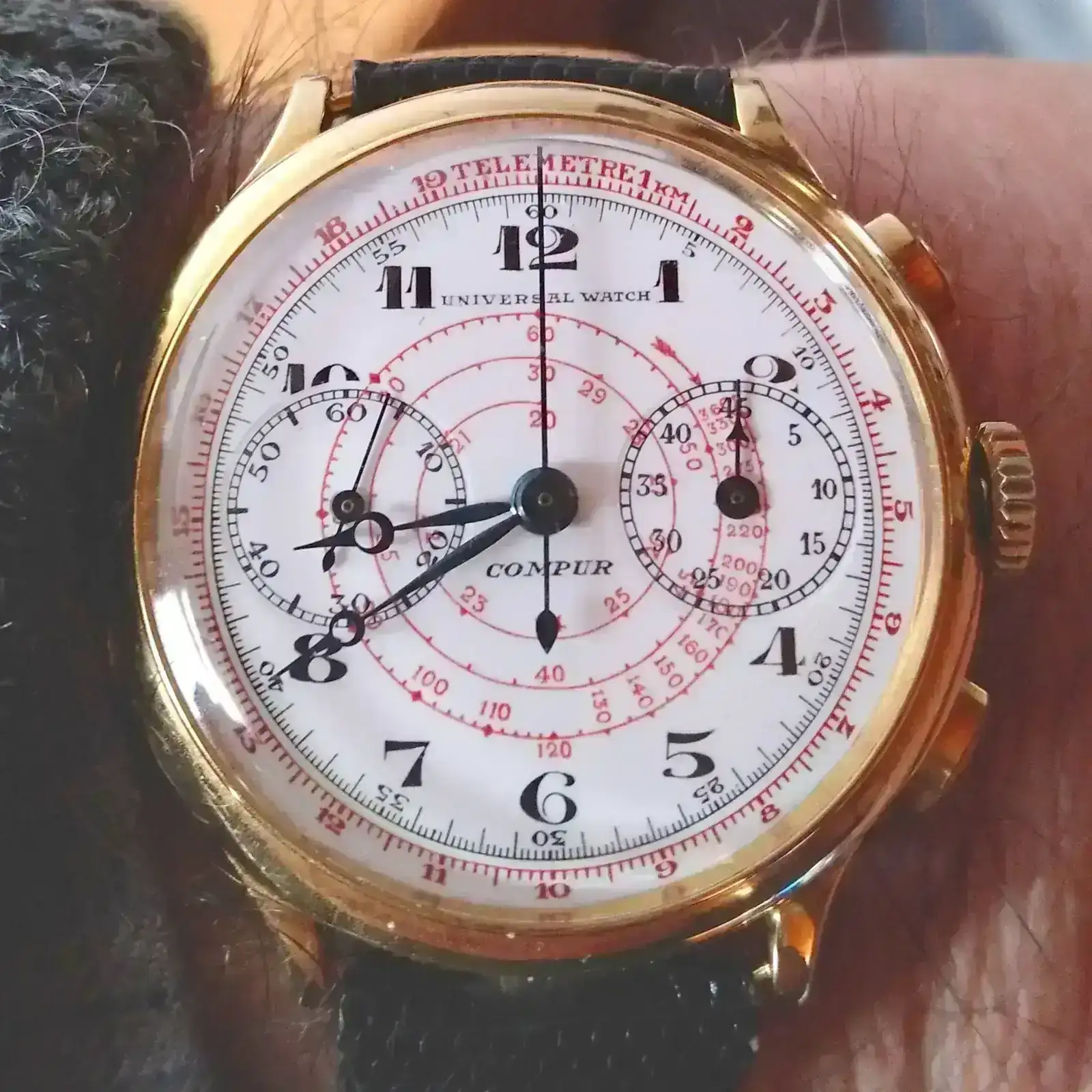 Compur bello polso - Copia.webp