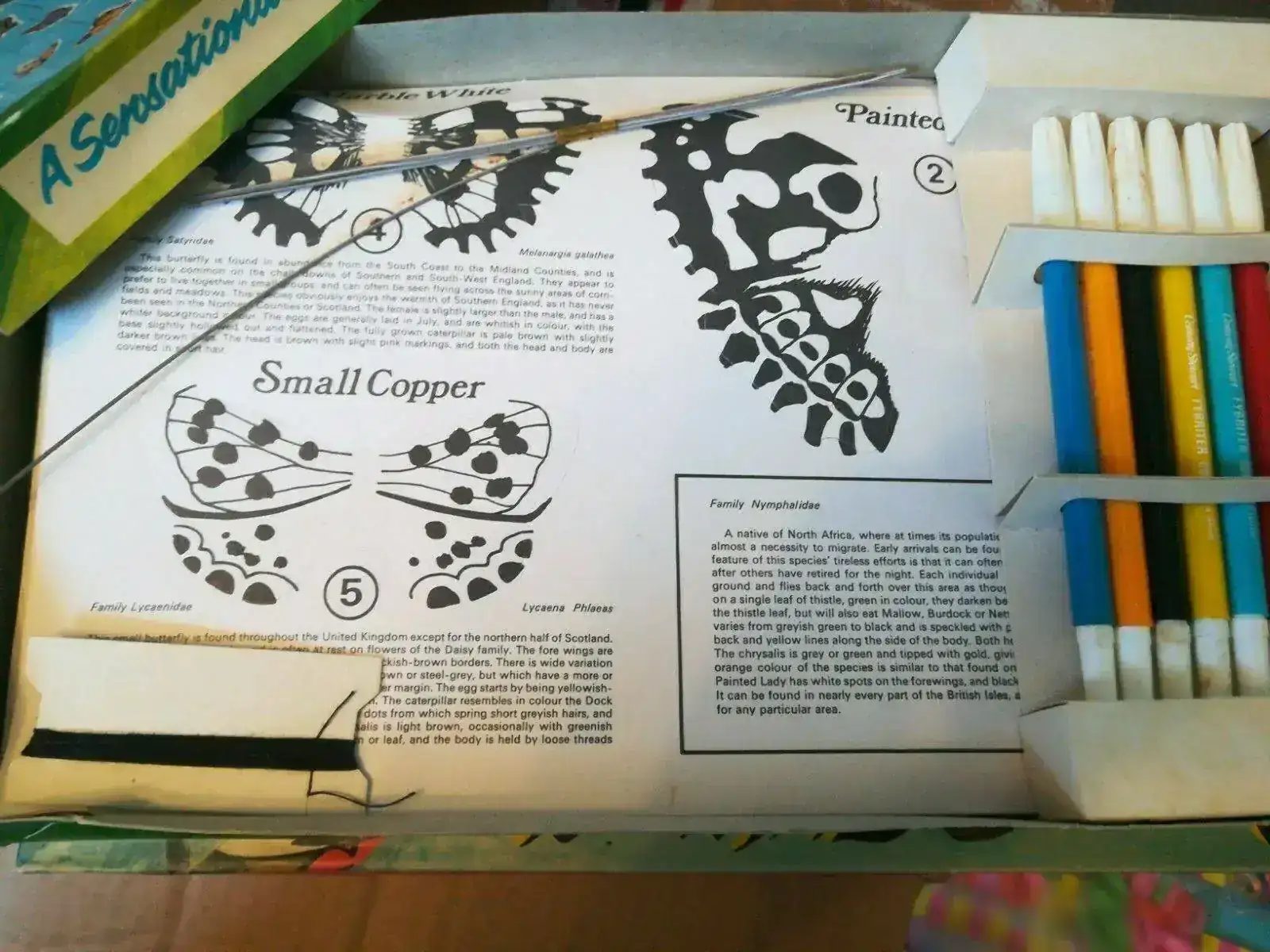 Conway Stewart The Butterfly Colouring Set and Mobile Toy 2.webp