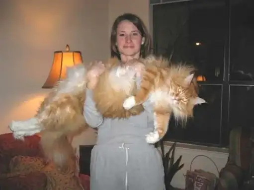 coonbig.webp