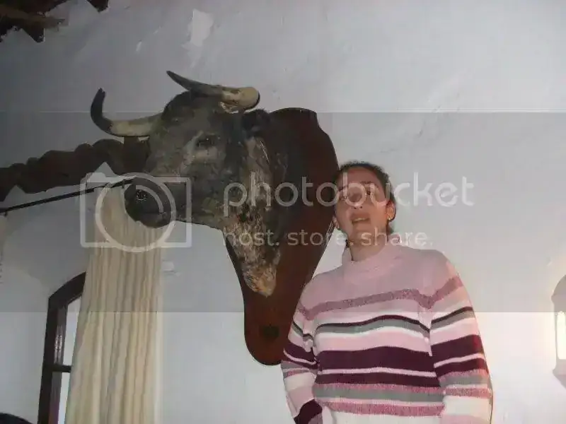 CopiadeDSCF6989.webp