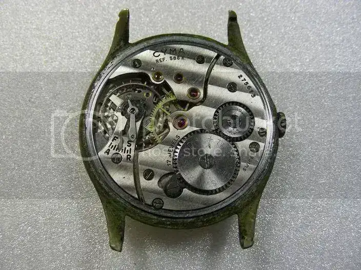 CopiadeDSCN0860.webp