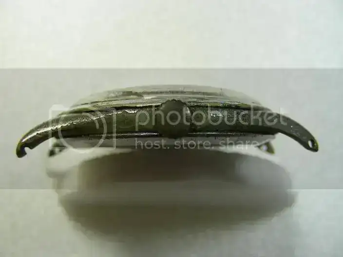 CopiadeDSCN0863.webp