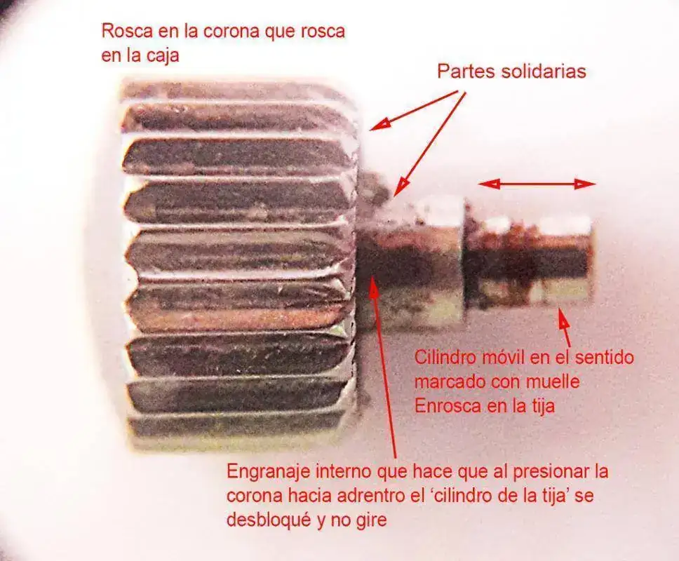 Corona-1-1.webp