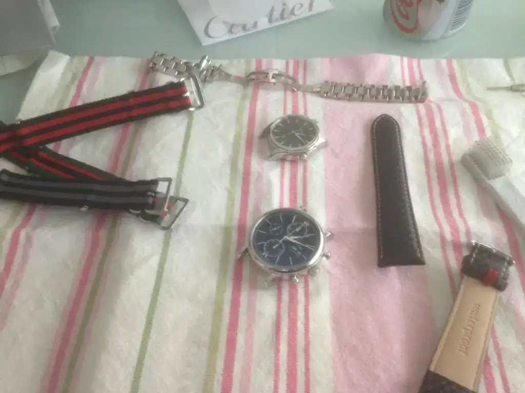 correas 1.webp