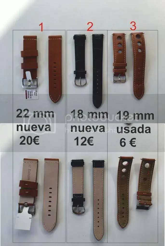 correas%201_zpshhhdfgfb.webp