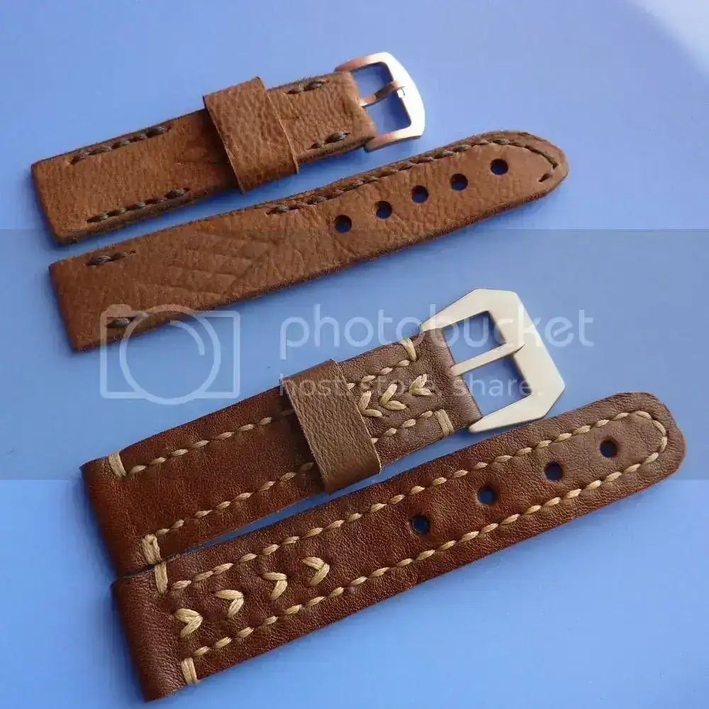 correas2_zps68b49ba1.webp